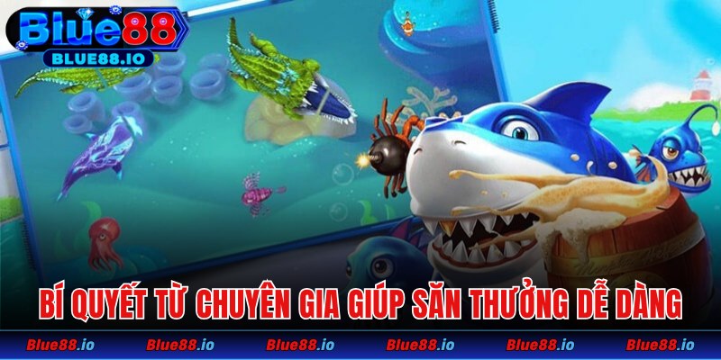 Các bí quyết từ chuyên gia giúp săn thưởng dễ dàng