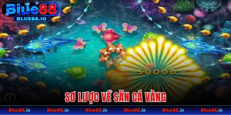 Sơ lược về săn cá vàng